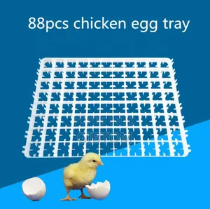 Poultry Eggs Incubators Setters Trays