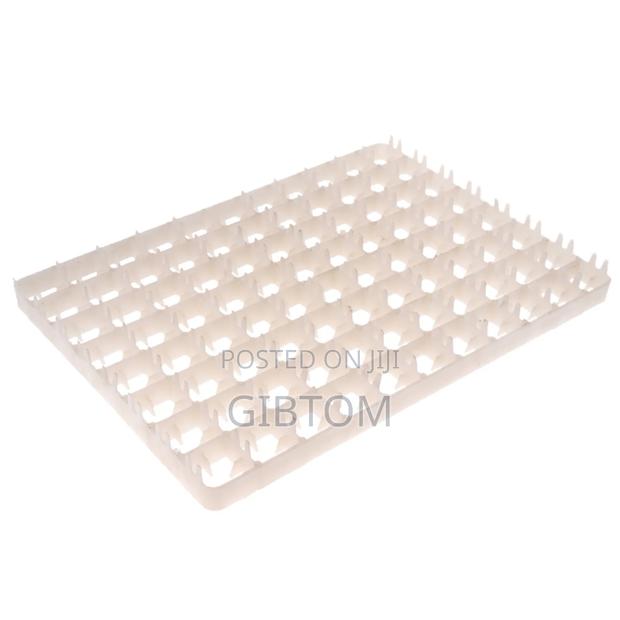 Poultry Eggs Incubators Setters Trays - thumbnail 4