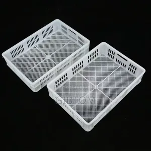 Poultry Eggs Incubators Hatchery Trays