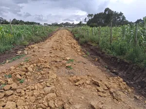 100*100 Plots Nyandarua, South Kinangop, Kwa Haraka