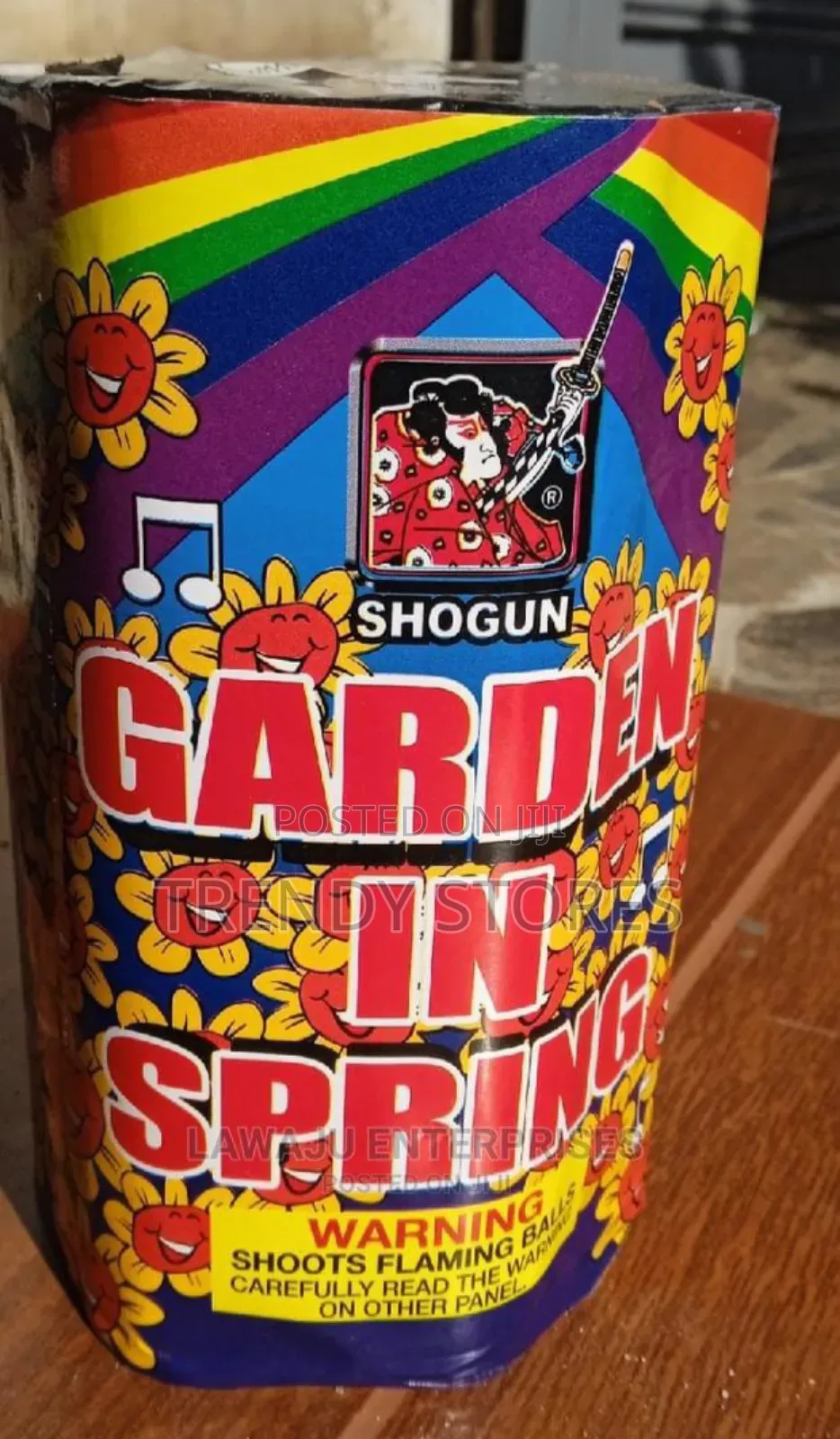Garden In Spring Fountain Fireworks