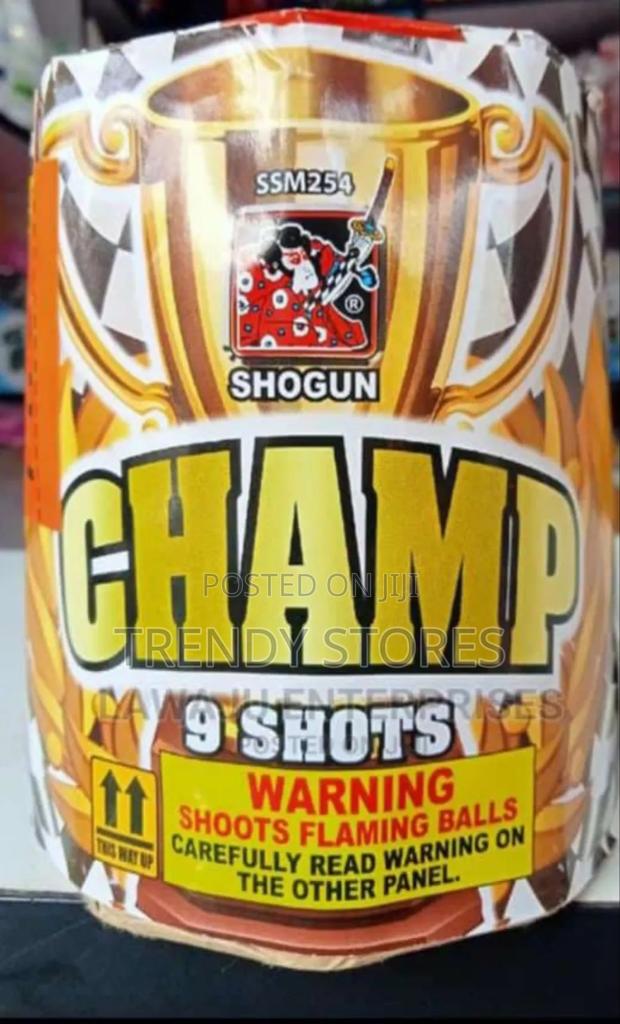 Champ Fireworks - main view