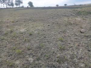 Land for Sale - thumbnail 2