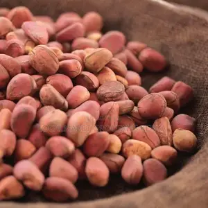 Red Kola Nut / Cola Nut / Bitter Kola