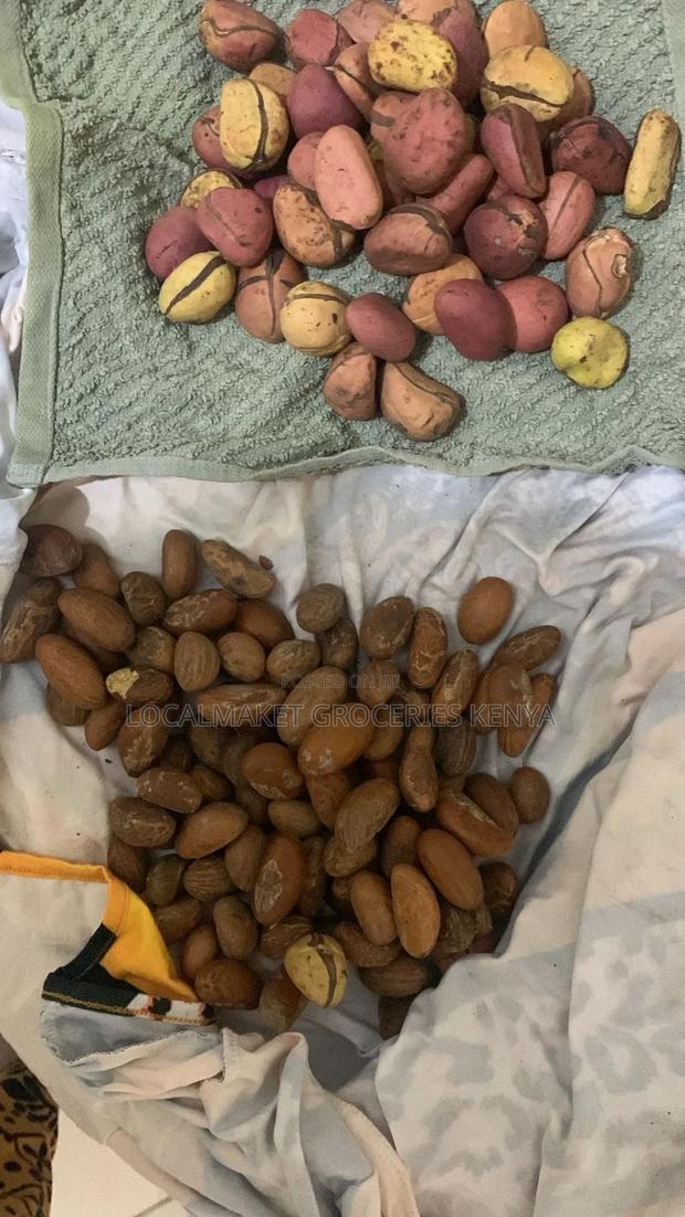 Red Kola Nut / Cola Nut / Bitter Kola - thumbnail 3
