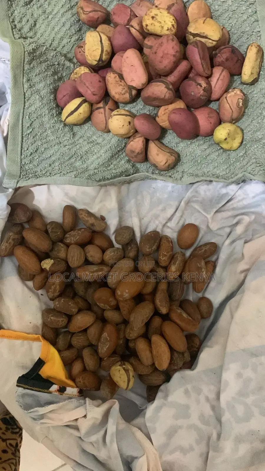 Red Kola Nut / Cola Nut / Bitter Kola