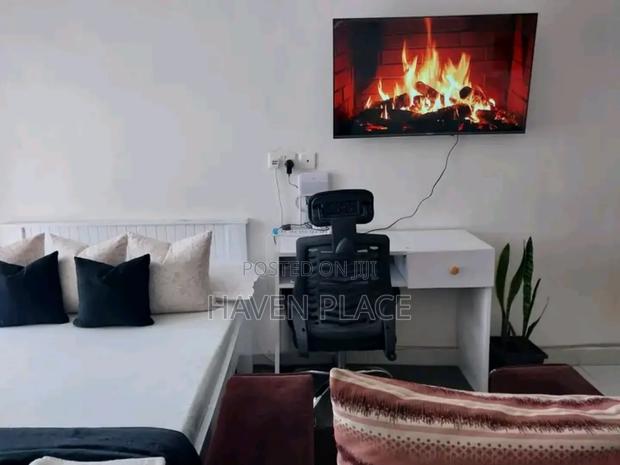 Fully Furnished 1 Bedroom Apartments - thumbnail 2