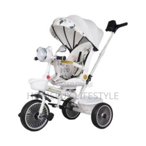 2 in 1 Trycle With Canopy - main view