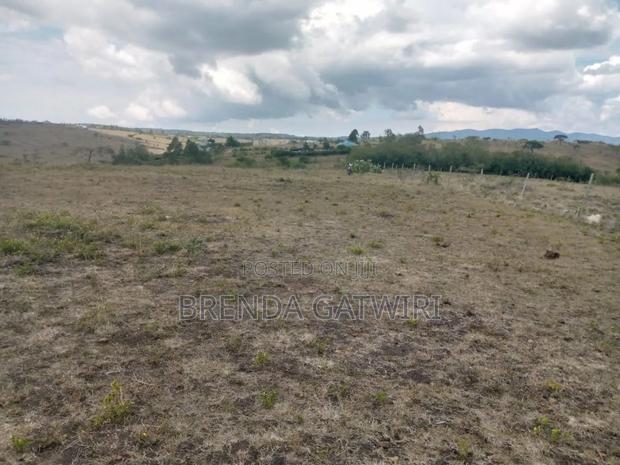 Land for Sale - thumbnail 3