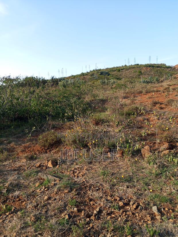 Prime, Affordable Plot for Sale in Ndeiya With Ready Title Deed - thumbnail 4