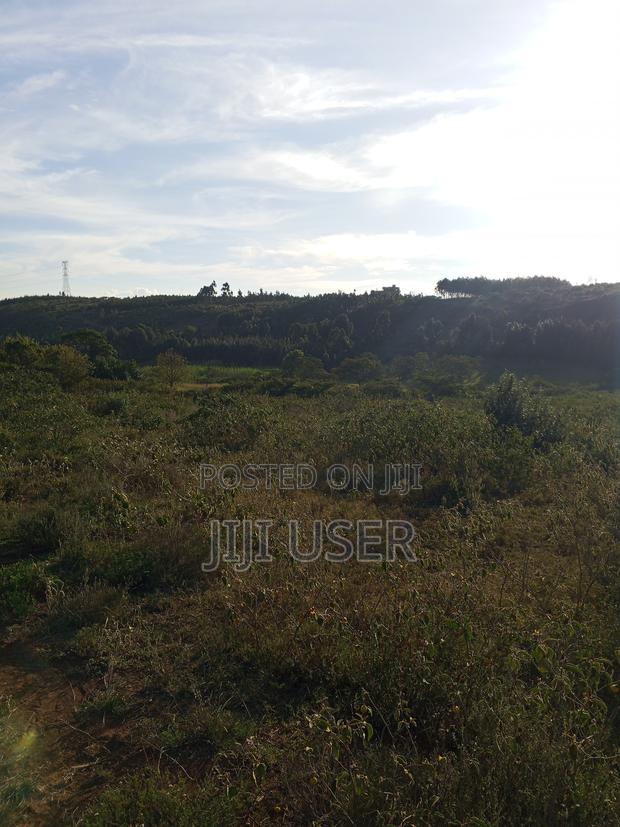 Prime, Affordable Plot for Sale in Ndeiya With Ready Title Deed - thumbnail 5