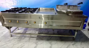 Compact Stainless Combined Gas Cooker