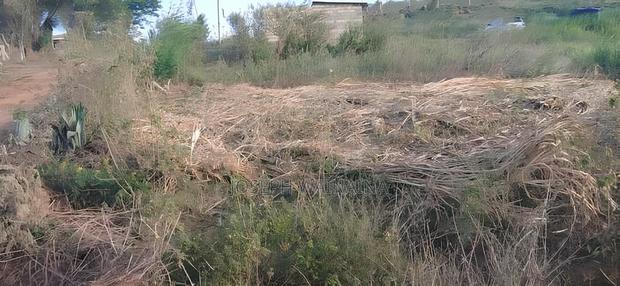 Land For Sale In Nachu