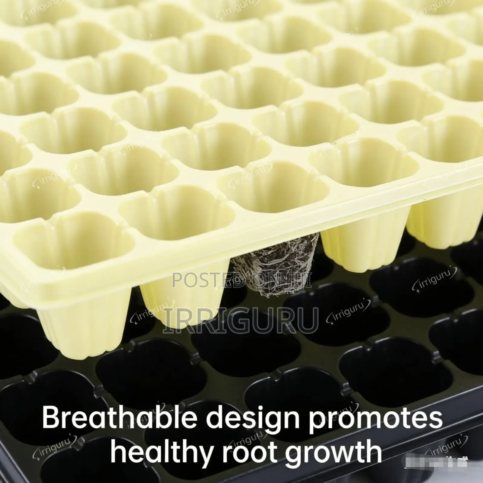 Premium Seedling Tray, the Top Choice for Various Plants