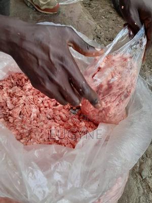 Vidolo Pet Accecories - main view