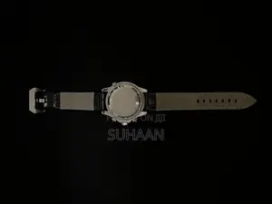 Omega Seamaster