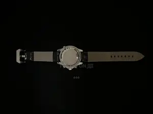 Omega Seamaster