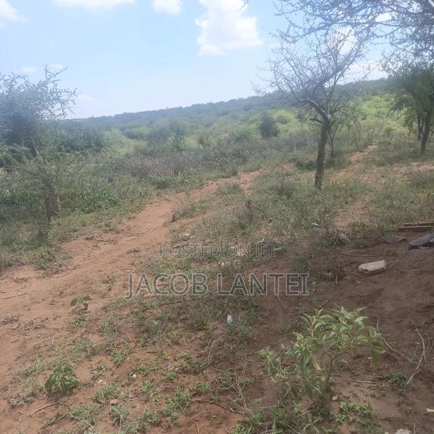 Land Of Sell - thumbnail 3