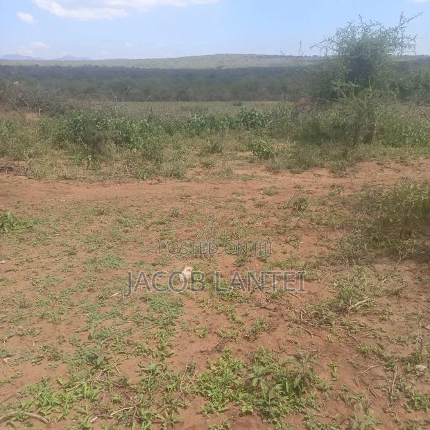 Land Of Sell - main view