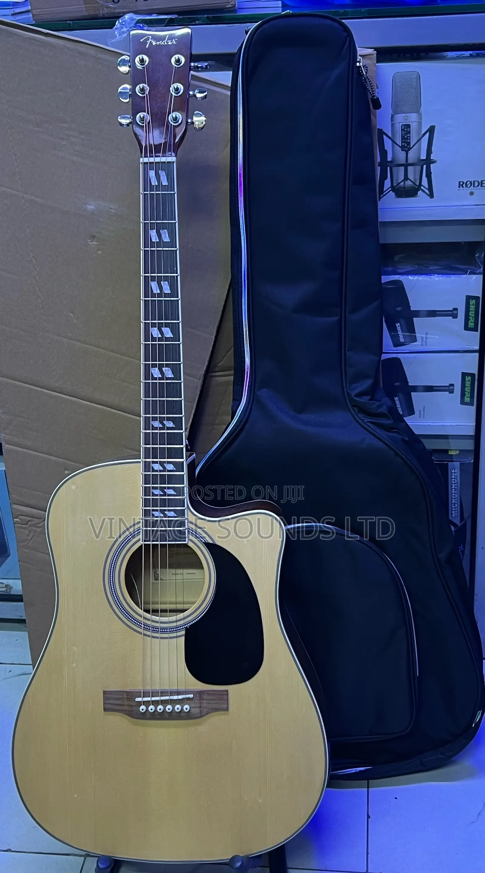 Fender Semi Acoustic Natural With Padded Bag
