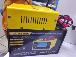 Bolaimei BLM-866 Intelligent Pulse Battery Charger