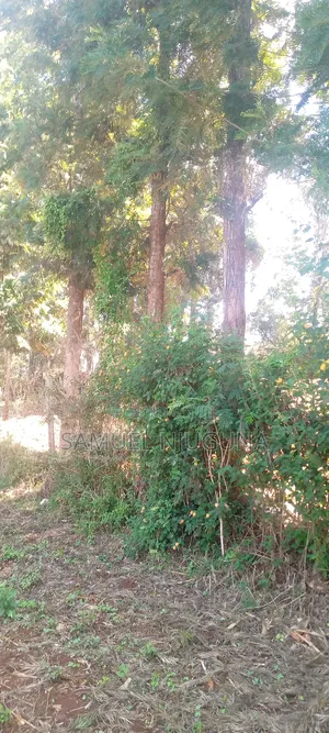 Land for Sale Ngong Karen