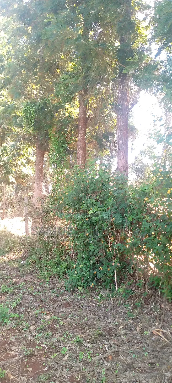 Land for Sale Ngong Karen