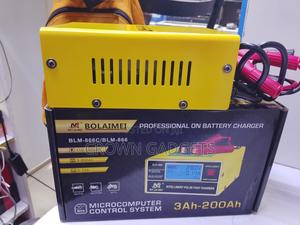 BLM-866c Fast Battery Charger 3ah–200ah - thumbnail 2