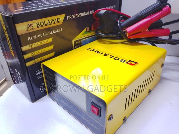 Automatic Pulse Repair Battery Charger - main view