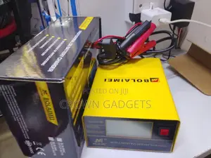 Professional Smart Battery Charger 110–250v