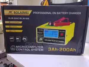 Professional Smart Battery Charger 110–250v
