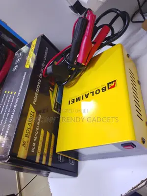 Professional Bolaimei Smart Battery Charger 110–250v Input