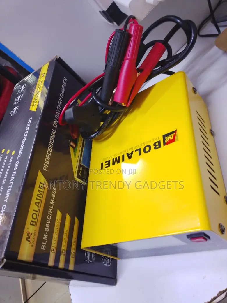 Professional Bolaimei Smart Battery Charger 110–250v Input