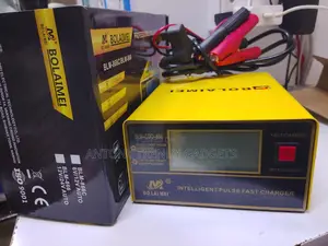 Bolaimei Blm-866c / Blm-866 Intelligent Pulse Fast Battery Charger
