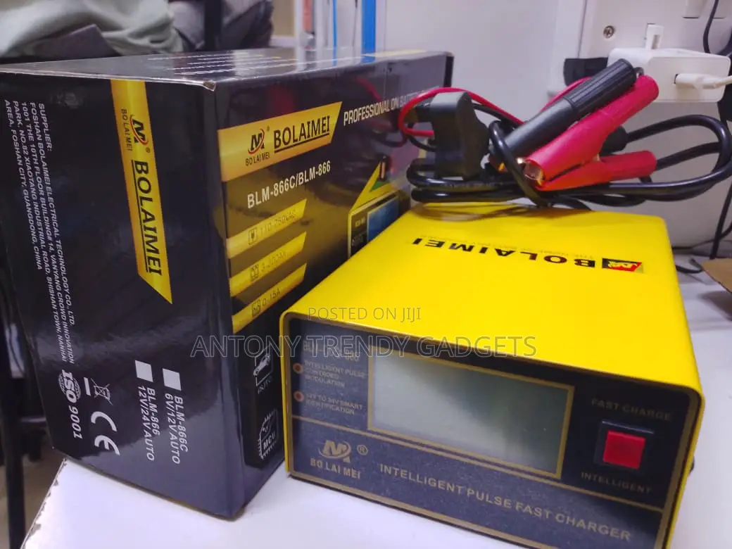 Blm-866c Intelligent Pulse Fast Battery Charger