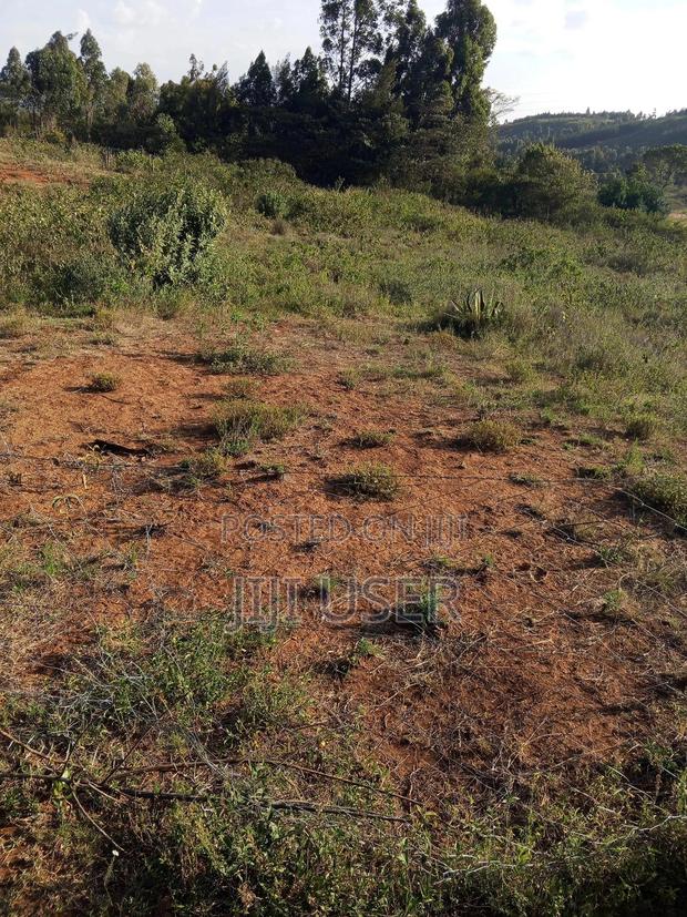 Prime, Affordable Plot for Sale in Ndeiya With Ready Title Deed - thumbnail 3