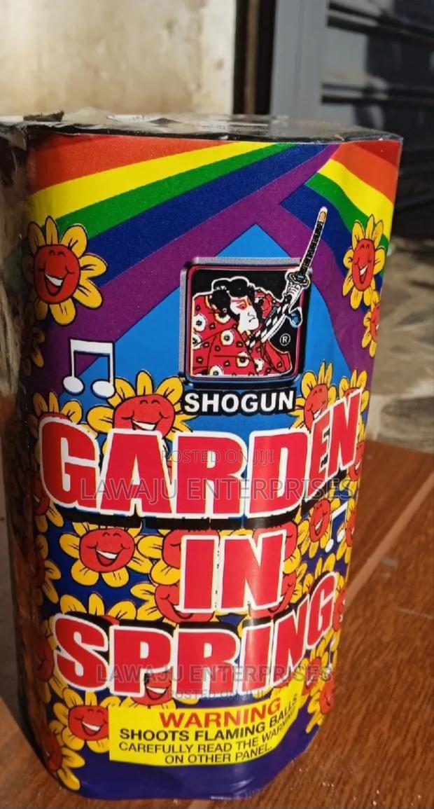 Garden In Spring Fireworks - main view