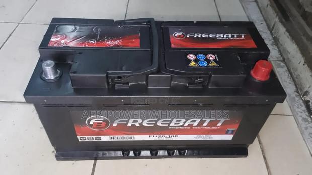 Freebatt Din 100 Maintenance Free Car Battery