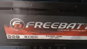 Freebatt Din 100 Maintenance Free Car Battery