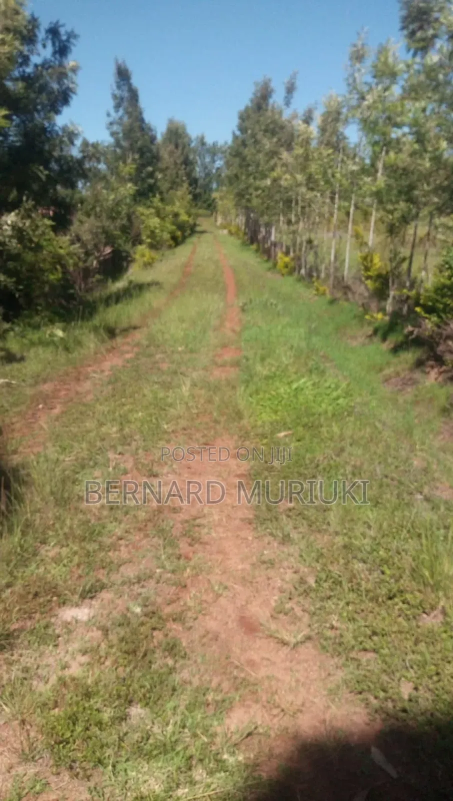 1 Acre at Kigio/Gatanga/Muranga on Sale