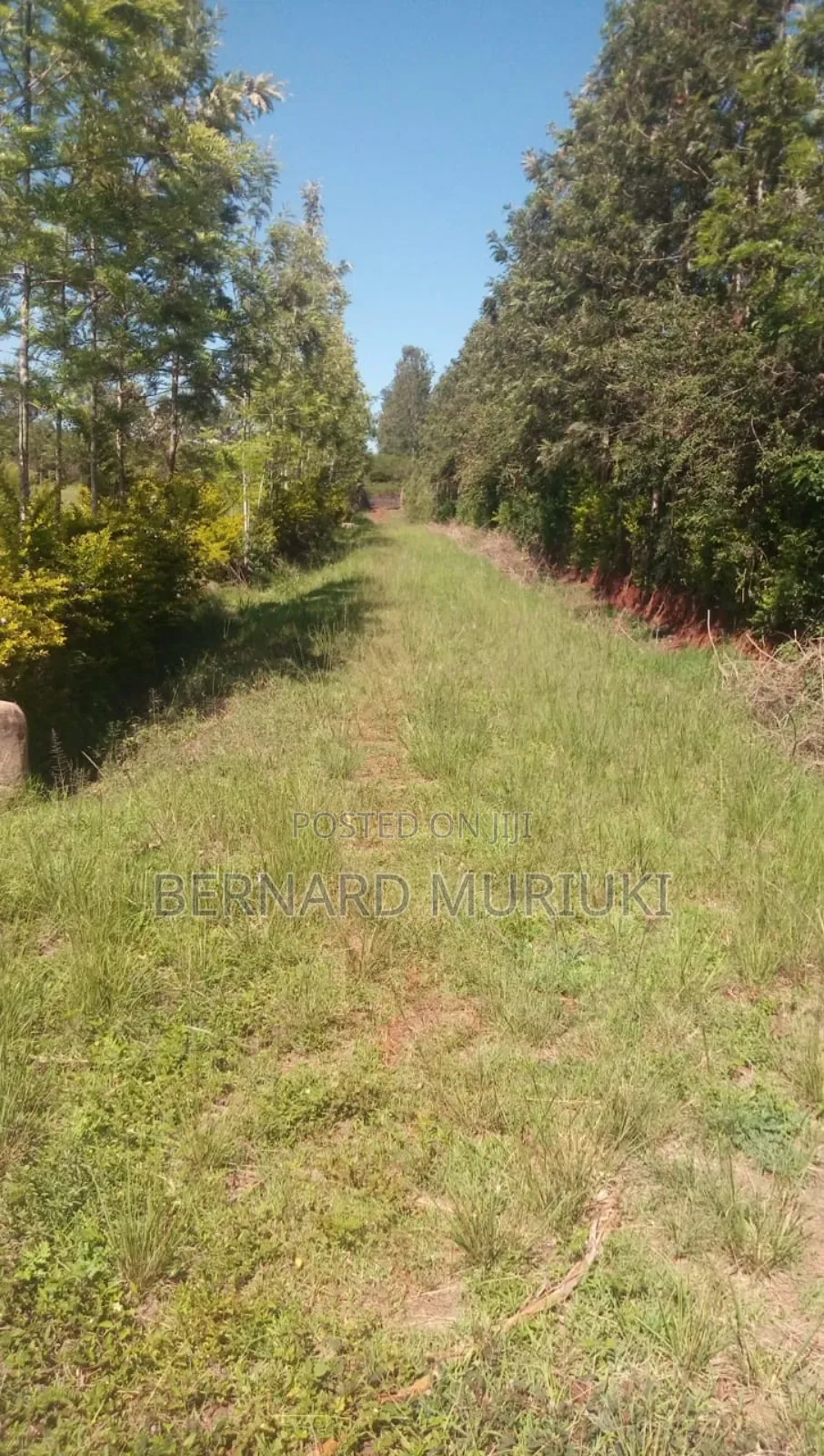 1 Acre at Kigio/Gatanga/Muranga on Sale