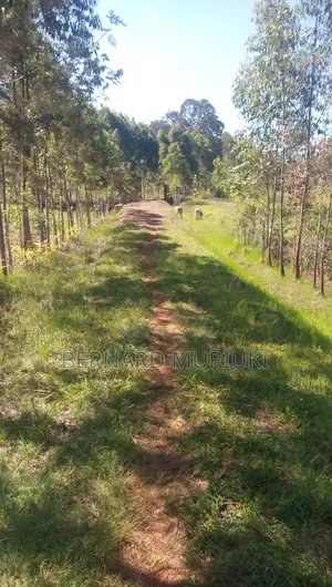 1 Acre at Kigio/Gatanga/Muranga on Sale
