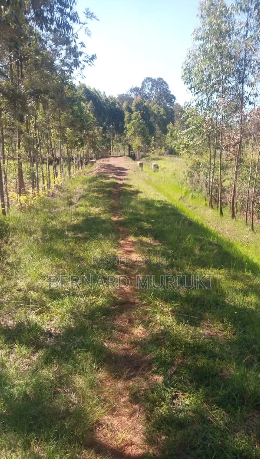 1 Acre at Kigio/Gatanga/Muranga on Sale