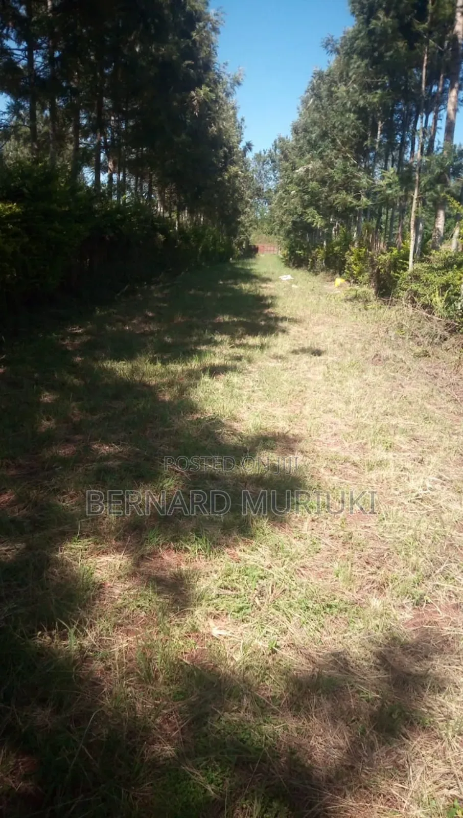 1 Acre at Kigio/Gatanga/Muranga on Sale
