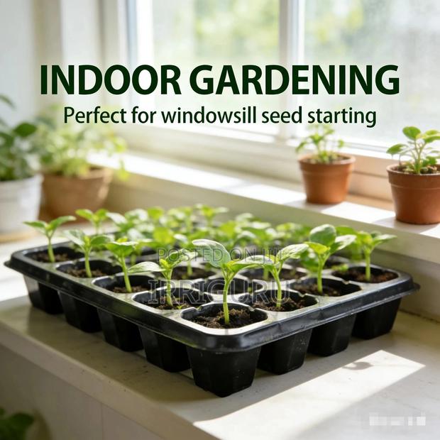 Planting Plugs On Family Balconies. - main view