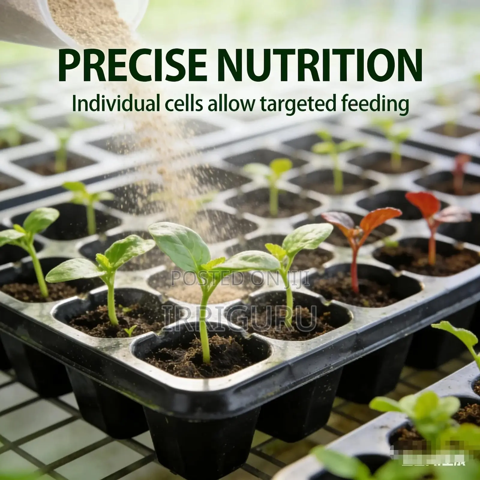 Energy-saving Seedling Tray, Conserves Water And Soil