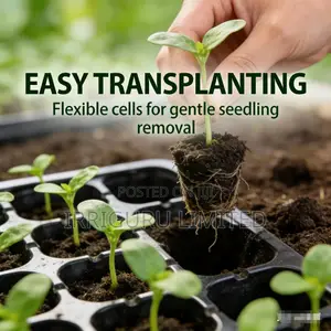 Innovatively Designed Seedling Tray, Makes Growing Easier Than Ever