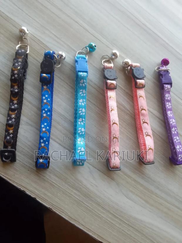 Cat Collars - main view