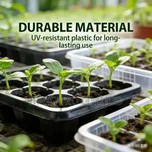 Multicolor Seedling Plug