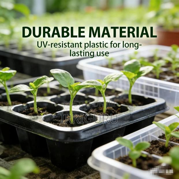 Multicolor Seedling Plug - main view